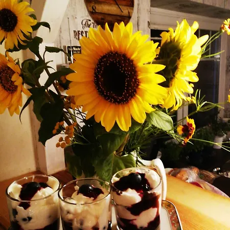 Gaestehaus Nord-west 1700 - Apartamento